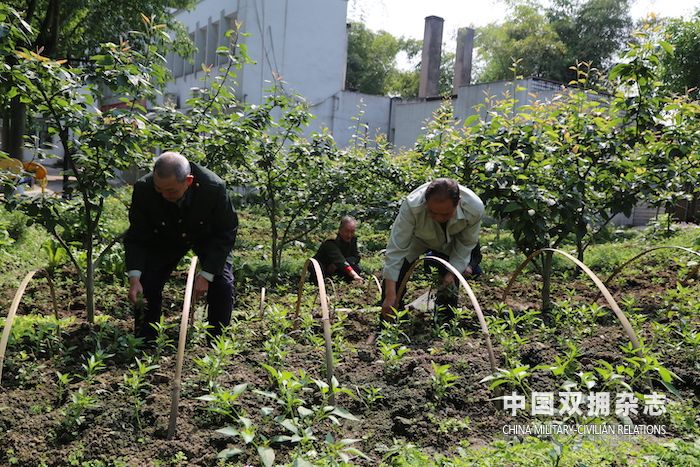 重庆市巴南区光荣院“开心农场”让老人乐享生活